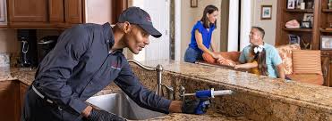 Emergency Pest Control in Markesan, WI